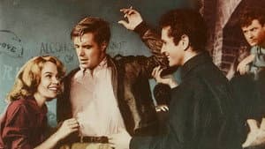 The Subterraneans — foto 1