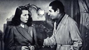 Partenza ore 7 — foto 1