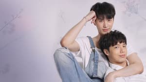 คุณหมีปาฏิหาริย์ — foto 1