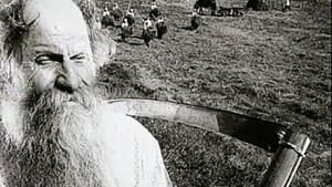 Бежин луг — foto 2