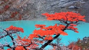 PROJETO PATAGÔNIA — foto 1