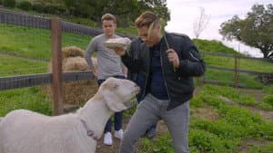 Episodio 7