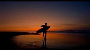 Surf Adventures: O Filme — foto 1
