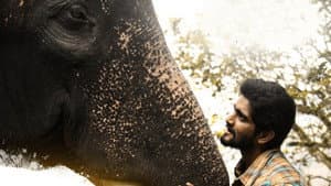 கும்கி 2 — foto 4