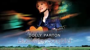 Blue Valley Songbird — foto 2