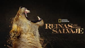 Reinas del mundo animal — foto 10