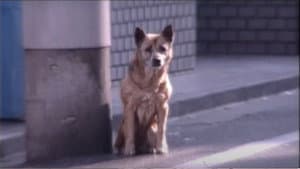 エコエコアザラク — foto 4