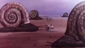 Les escargots — foto 12