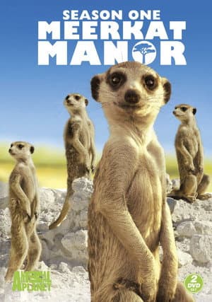Temporada 1