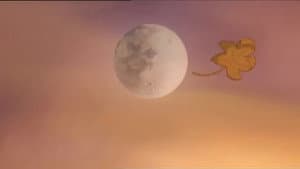 Pumpkin Moon — foto 4