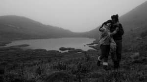 Chuquiragua — foto 3