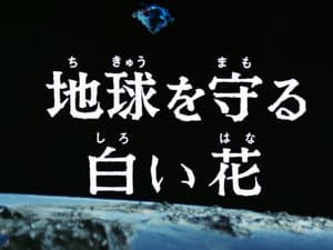 Episodio 31