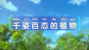 Episodio 12