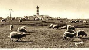 Il y avait du pétrole à Ouessant — foto 1
