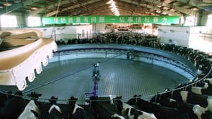 El sistema de la leche — foto 10