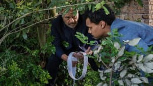 Episodio 5
