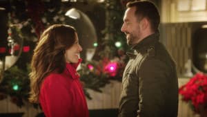 Noël en boîte — foto 3