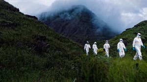 Virus Hunters — foto 5