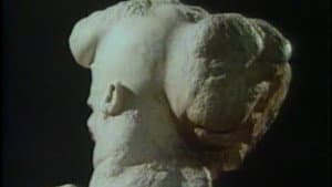 The Skin Horse — foto 1