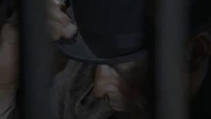 Episodio 10