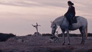 Animale — foto 1