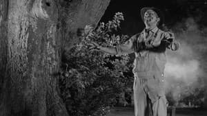 Vampire Zombies...from Space! — foto 4