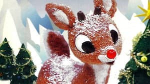 Rudolph, el reno de la nariz roja — foto 9