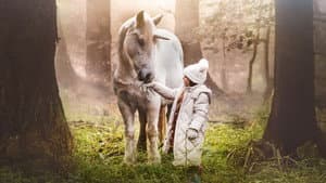 Tale of the Forest Unicorn — foto 2