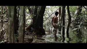 A Floresta de Jonathas — foto 1
