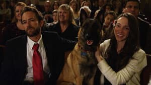 K-9 Adventures: A Christmas Tale — foto 1