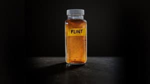 Flint — foto 2