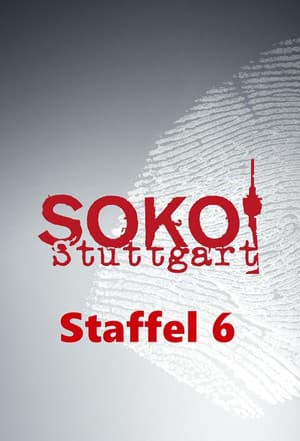 Temporada 6