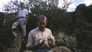 De los nombres de las cabras — foto 1
