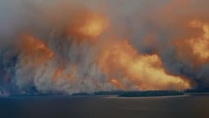 The Fire in Our Hearts — foto 1