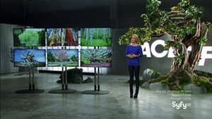 Episodio 4