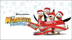 Pinguinos Mision Navideña — foto 5