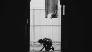 Tetsuo: El hombre de hierro — foto 11