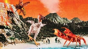 La Isla Misteriosa — foto 8