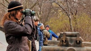 Birders: The Central Park Effect — foto 2