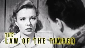 Law of the Timber — foto 1