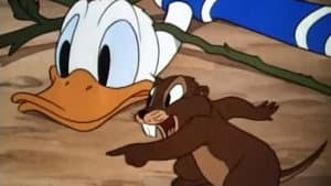 Donald's Garden — foto 1