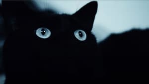 Alice Was My Name — foto 3