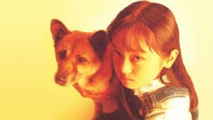 家なき子 — foto 1