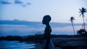 Luz de luna — foto 4