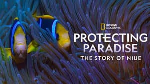 Protecting Paradise: The Story of Niue — foto 2