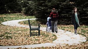 The Letter Writer — foto 5
