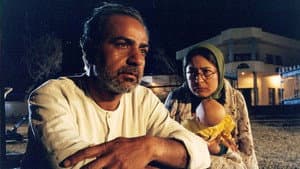 موج مرده — foto 1