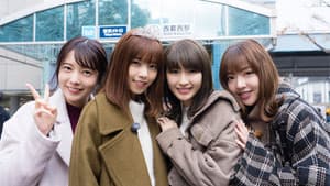 NOGIBINGO! — foto 4