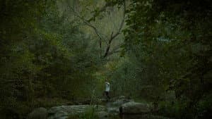 REM — foto 5