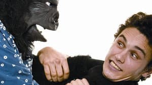 The Ape — foto 1